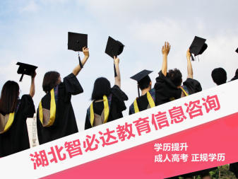 開啟學(xué)歷提升新征程 高升專與專升本教育信息咨詢服務(wù)